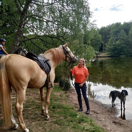 L'Echappee Verte - Gite Equestre 5 Pers Soucht Exterior foto