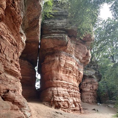 L'Echappee Verte - Gite Equestre 5 Pers Soucht Exterior foto