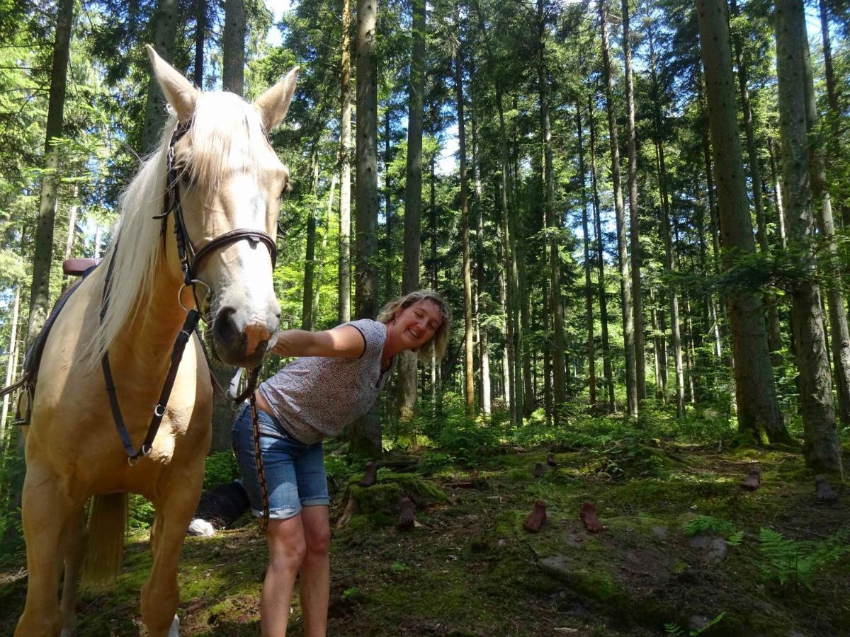 L'Echappee Verte - Gite Equestre 5 Pers Soucht Exterior foto