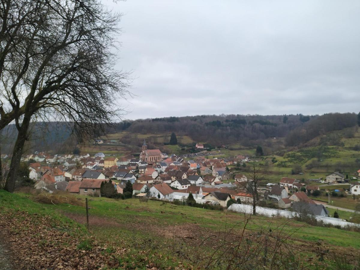 L'Echappee Verte - Gite Equestre 5 Pers Soucht Exterior foto