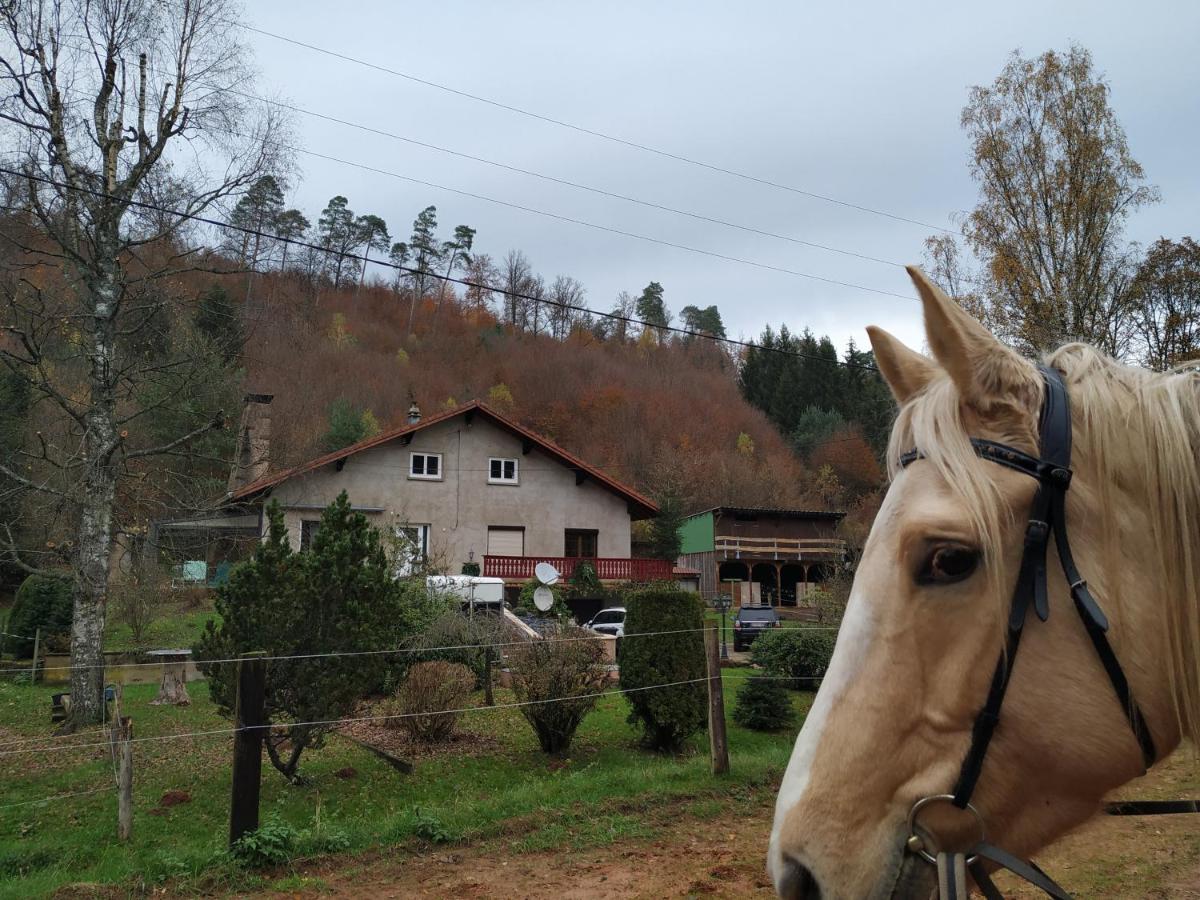 L'Echappee Verte - Gite Equestre 5 Pers Soucht Exterior foto