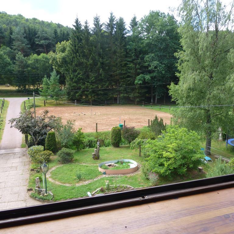 L'Echappee Verte - Gite Equestre 5 Pers Soucht Cameră foto