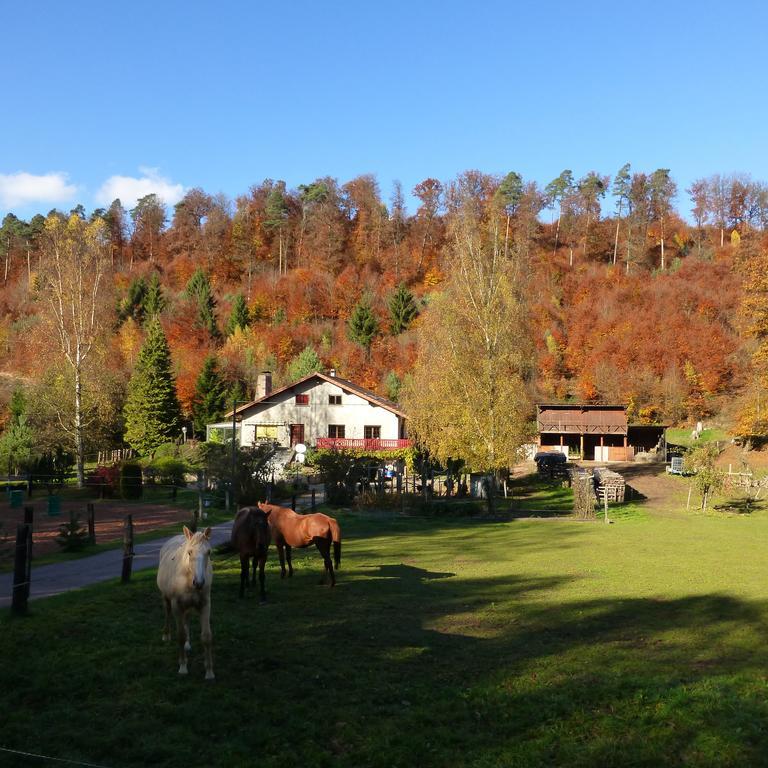 L'Echappee Verte - Gite Equestre 5 Pers Soucht Cameră foto