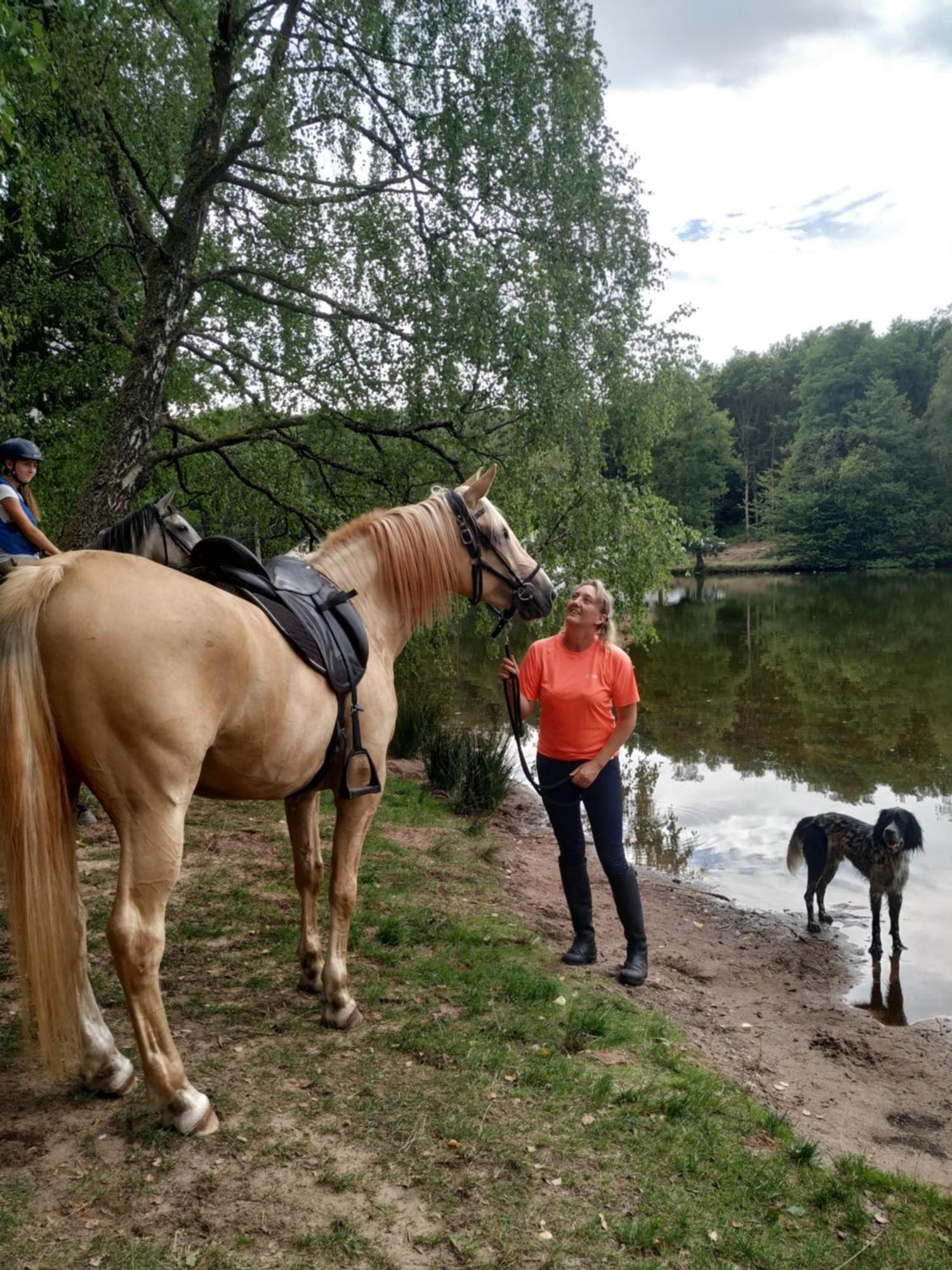 L'Echappee Verte - Gite Equestre 5 Pers Soucht Exterior foto