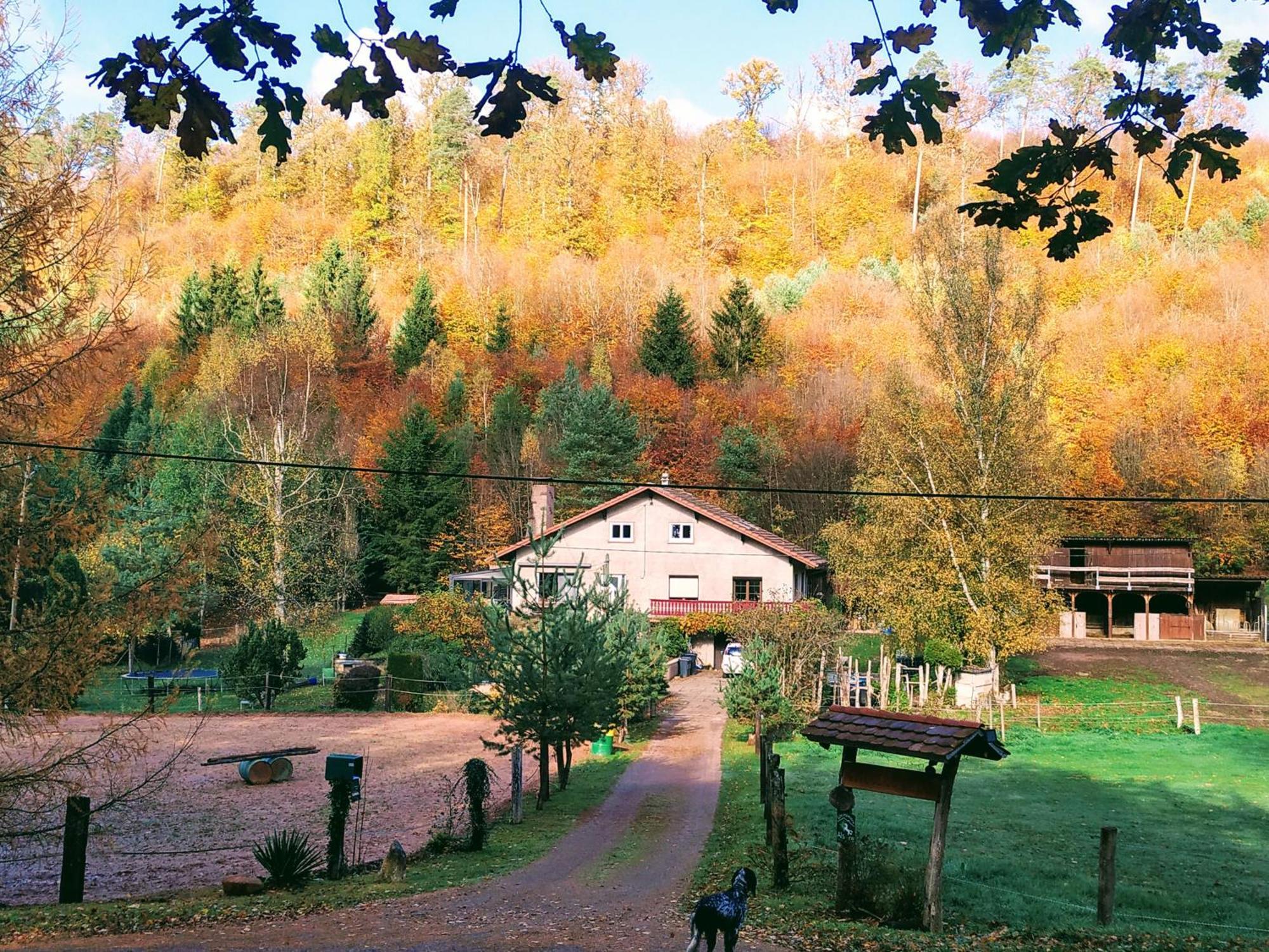 L'Echappee Verte - Gite Equestre 5 Pers Soucht Exterior foto