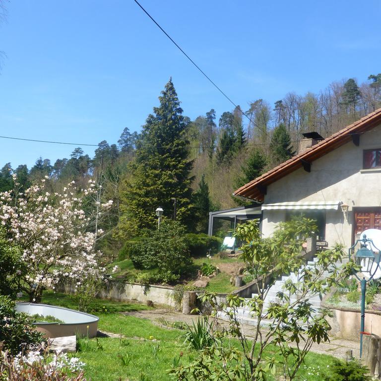 L'Echappee Verte - Gite Equestre 5 Pers Soucht Exterior foto