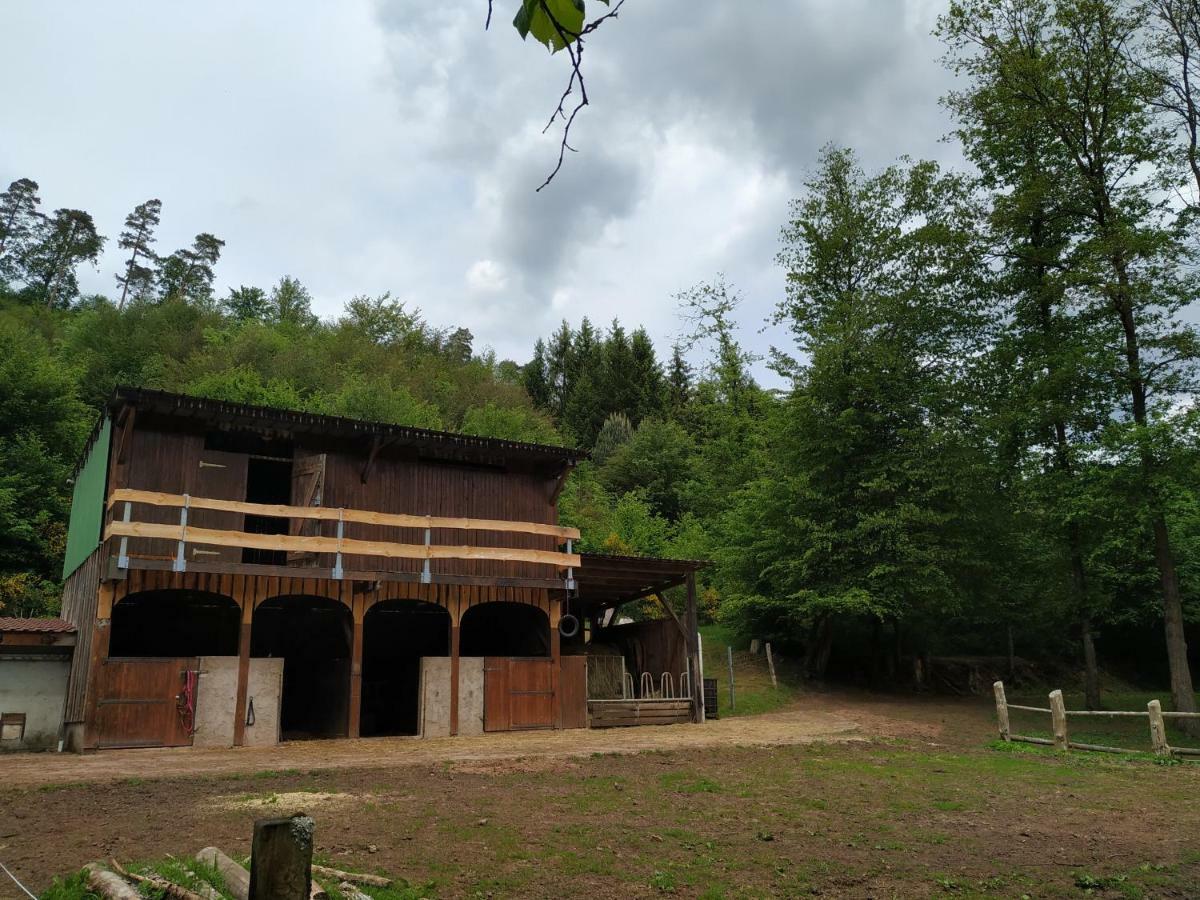 L'Echappee Verte - Gite Equestre 5 Pers Soucht Exterior foto